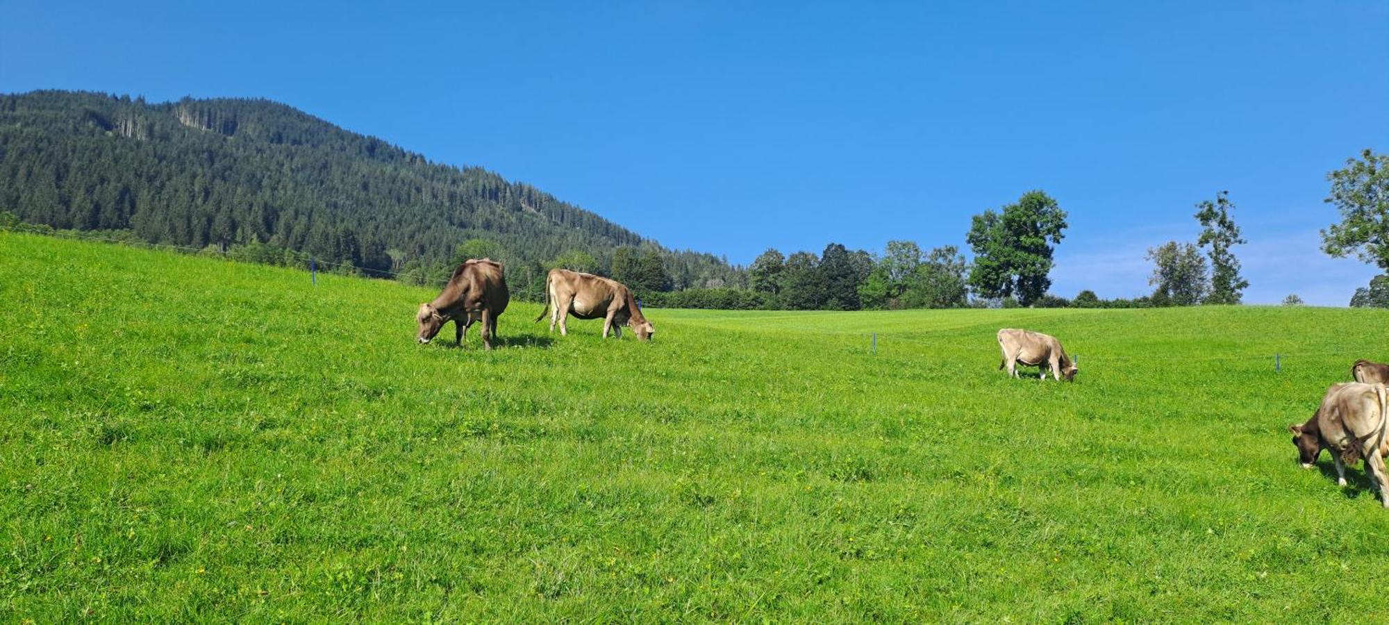 Ferienwohnung Steinernes Meer Maria Alm am Steinernen Meer Ngoại thất bức ảnh