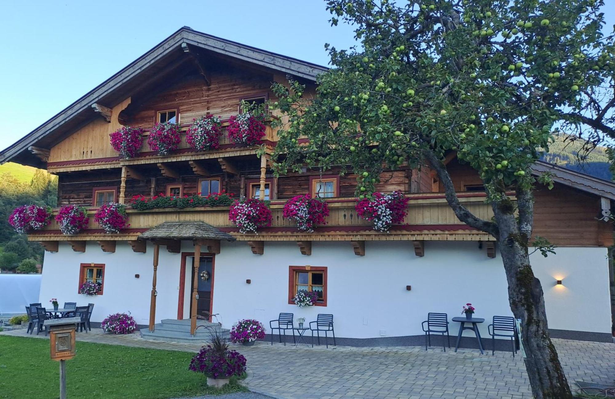 Ferienwohnung Steinernes Meer Maria Alm am Steinernen Meer Ngoại thất bức ảnh